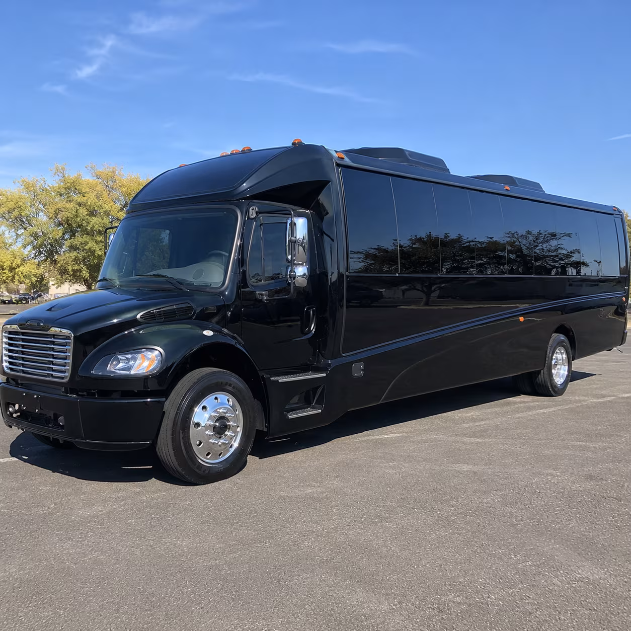 buena park 28 passenger minibus